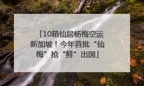 10箱仙居杨梅空运新加坡！今年首批“仙梅”抢“鲜”出国