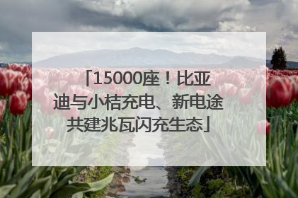 15000座！比亚迪与小桔充电、新电途共建兆瓦闪充生态