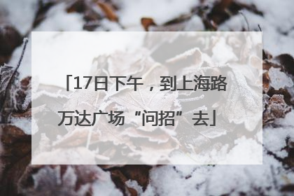 17日下午，到上海路万达广场“问招”去