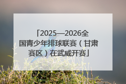 2025—2026全国青少年排球联赛（甘肃赛区）在武威开赛