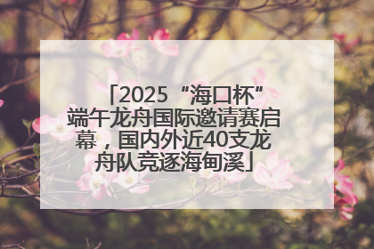 2025“海口杯”端午龙舟国际邀请赛启幕，国内外近40支龙舟队竞逐海甸溪
