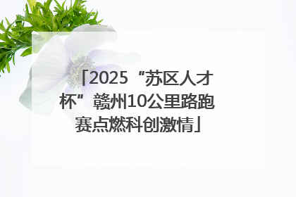 2025“苏区人才杯”赣州10公里路跑赛点燃科创激情