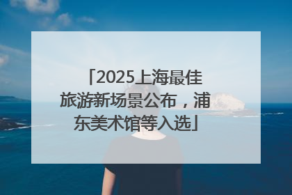 2025上海最佳旅游新场景公布，浦东美术馆等入选