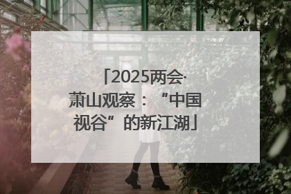 2025两会·萧山观察：“中国视谷”的新江湖