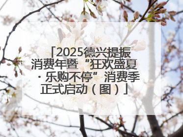 2025德兴提振消费年暨“狂欢盛夏・乐购不停”消费季正式启动（图）