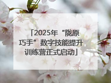 2025年“陇原巧手”数字技能提升训练营正式启动