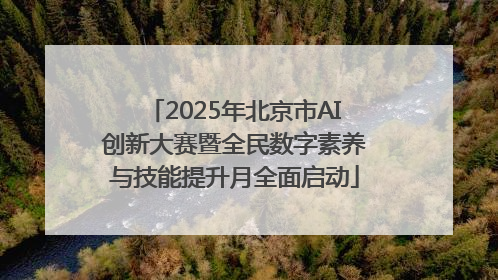 2025年北京市AI创新大赛暨全民数字素养与技能提升月全面启动