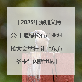 2025年深圳文博会·十堰绿松石产业对接大会举行 让“东方圣玉”闪耀世界