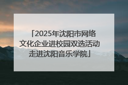 2025年沈阳市网络文化企业进校园双选活动走进沈阳音乐学院