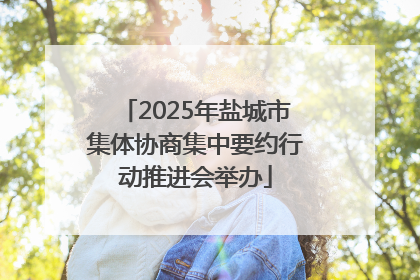 2025年盐城市集体协商集中要约行动推进会举办