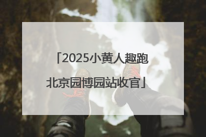 2025小黄人趣跑北京园博园站收官