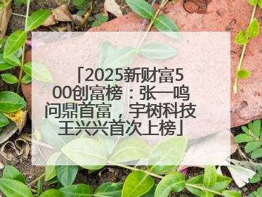 2025新财富500创富榜：张一鸣问鼎首富，宇树科技王兴兴首次上榜
