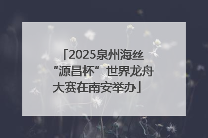 2025泉州海丝“源昌杯”世界龙舟大赛在南安举办