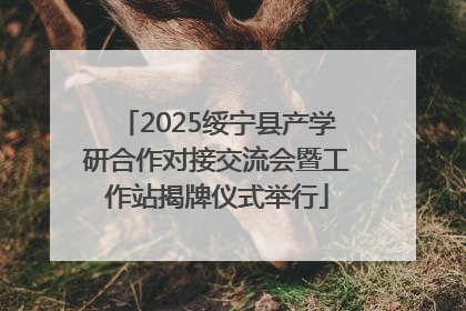 2025绥宁县产学研合作对接交流会暨工作站揭牌仪式举行