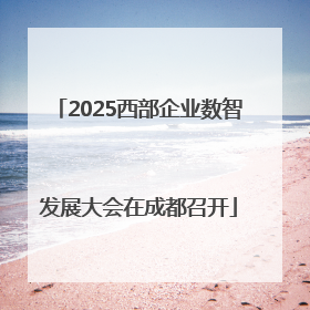 2025西部企业数智发展大会在成都召开