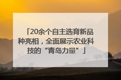 20余个自主选育新品种亮相，全面展示农业科技的“青岛力量”