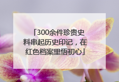 300余件珍贵史料串起历史印记，在红色档案里悟初心