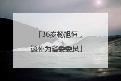 36岁杨旭恒，递补为省委委员