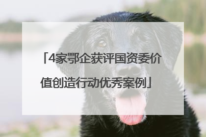 4家鄂企获评国资委价值创造行动优秀案例