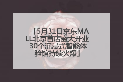 5月31日京东MALL北京首店盛大开业 30个沉浸式智能体验馆持续火爆