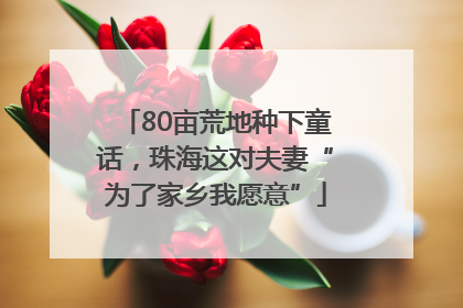 80亩荒地种下童话，珠海这对夫妻“为了家乡我愿意”