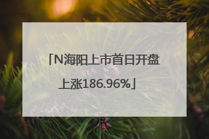 N海阳上市首日开盘上涨186.96%